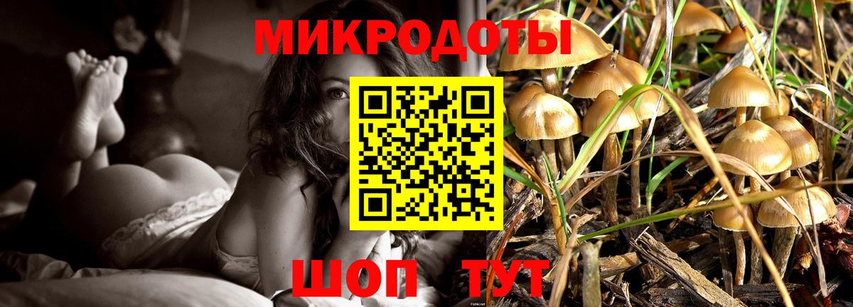 Галлюциногенные грибы Psilocybine cubensis  Вход с VPN  Псилоцибиновые грибы прущие грибы  Анжеро-Судженск 